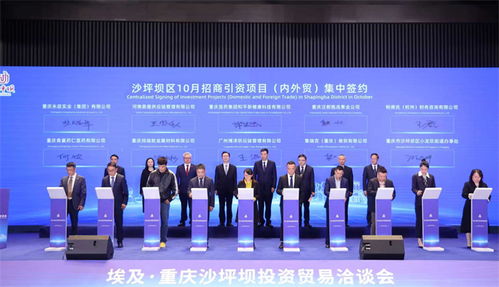 重慶沙坪壩投資貿易洽談會成功舉行，簽約6個對非經貿合作項目助力信息咨詢服務升級